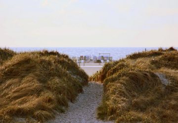 St. Peter-Ording Ferienwohnungen Hund 1 : Dünen mit Blick auf das Meer und die Strandkörbe